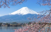 Tour Du Lịch Nhật Bản: Tokyo - Núi Phú Sĩ (5N4Đ - Bay Air Macau)